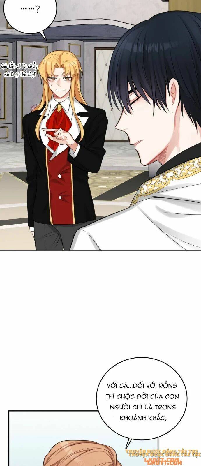 page_24.jpg