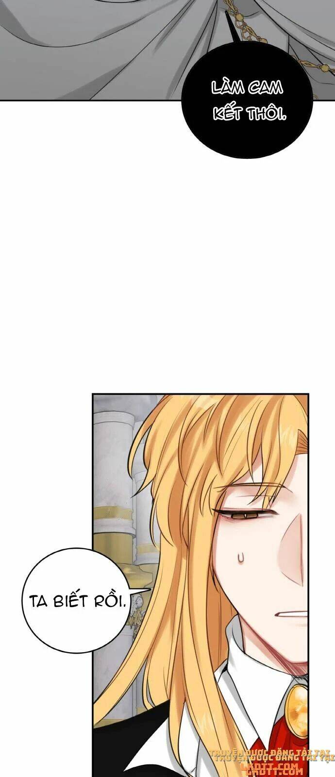 page_29.jpg