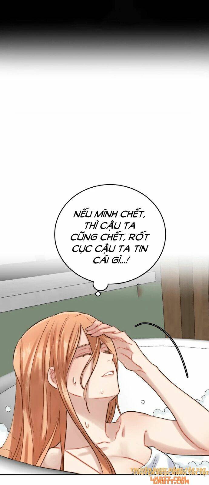 page_40.jpg