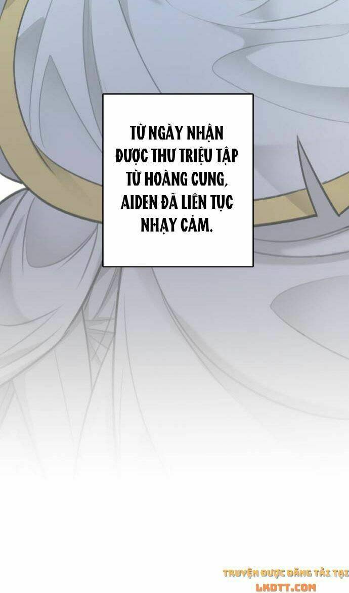 page_39.jpg