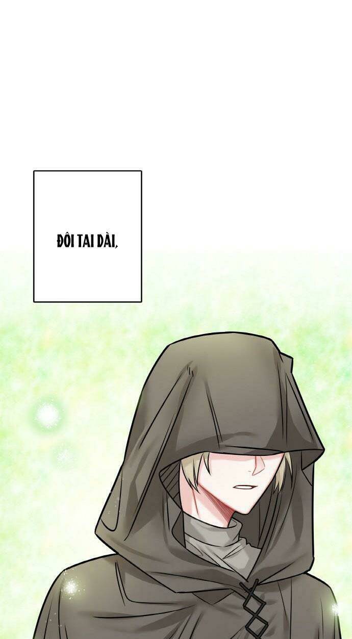 page_67.jpg