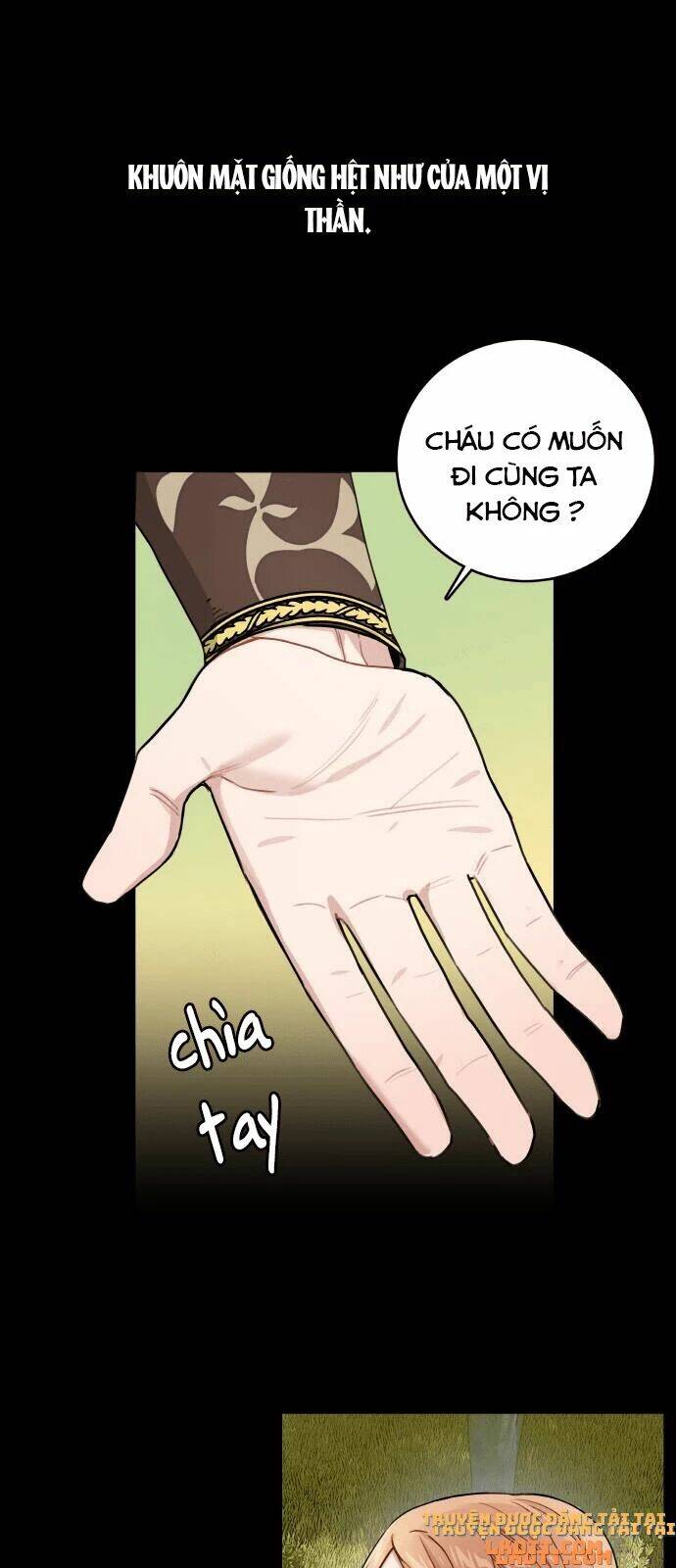 page_41.jpg