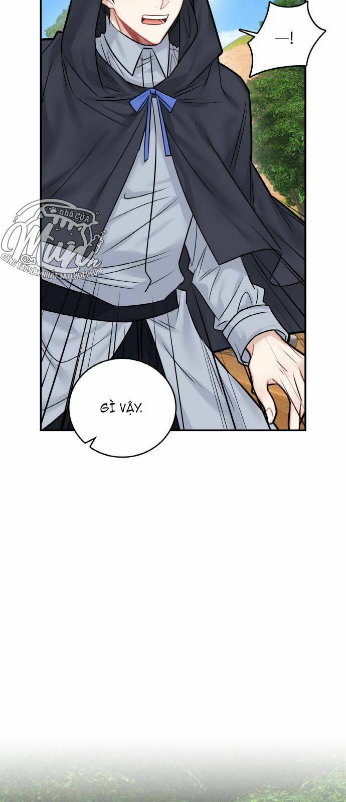 page_13.jpg