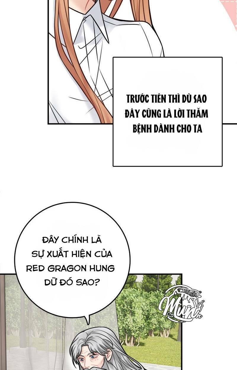 page_19.jpg