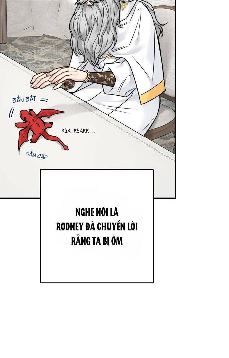 page_20.jpg