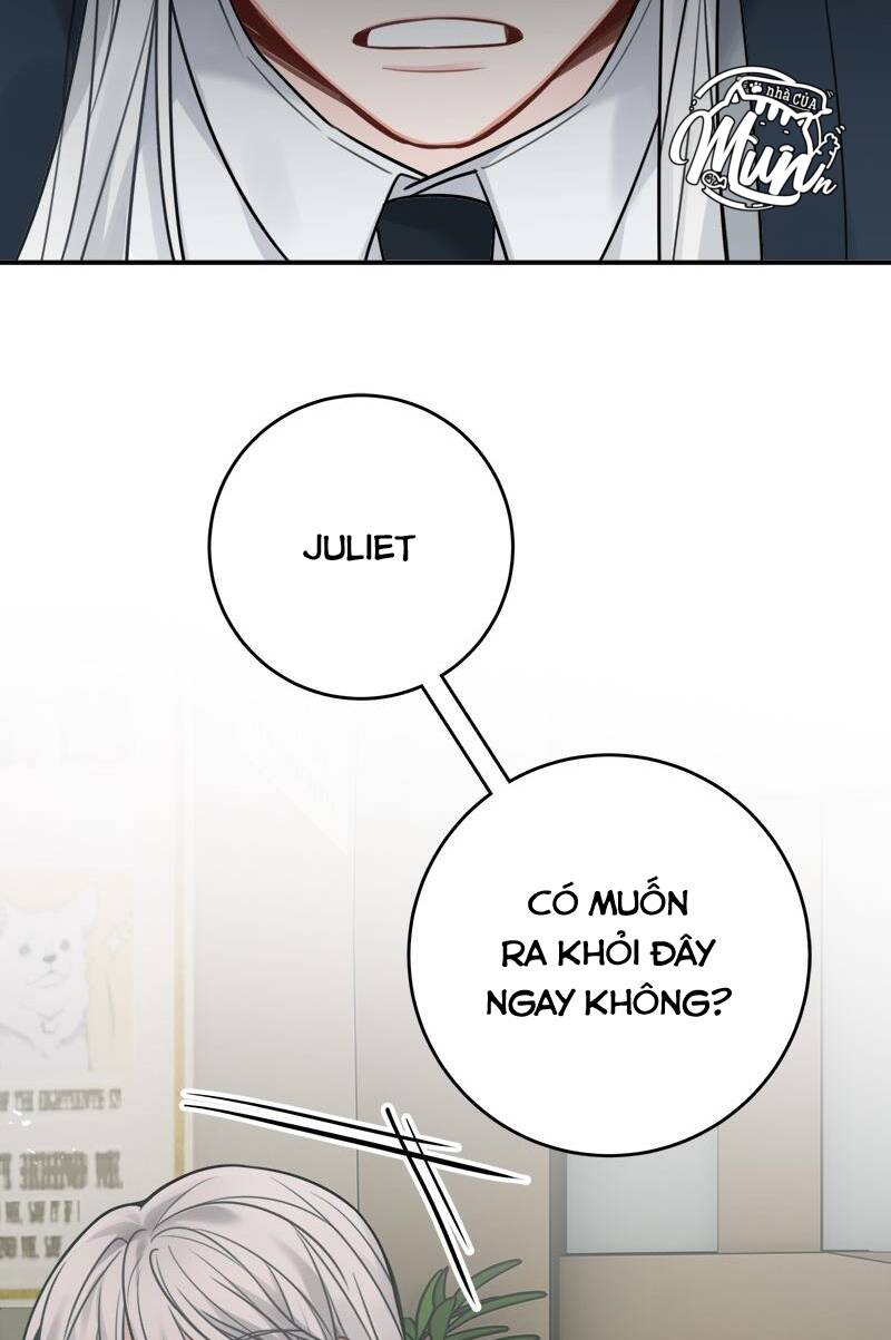page_29.jpg