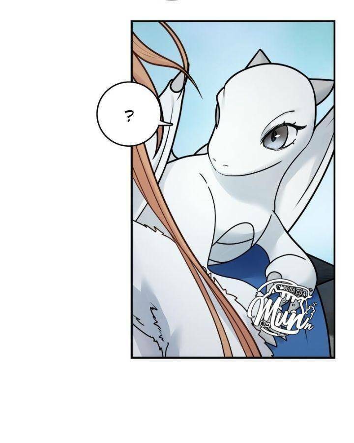 page_17.jpg