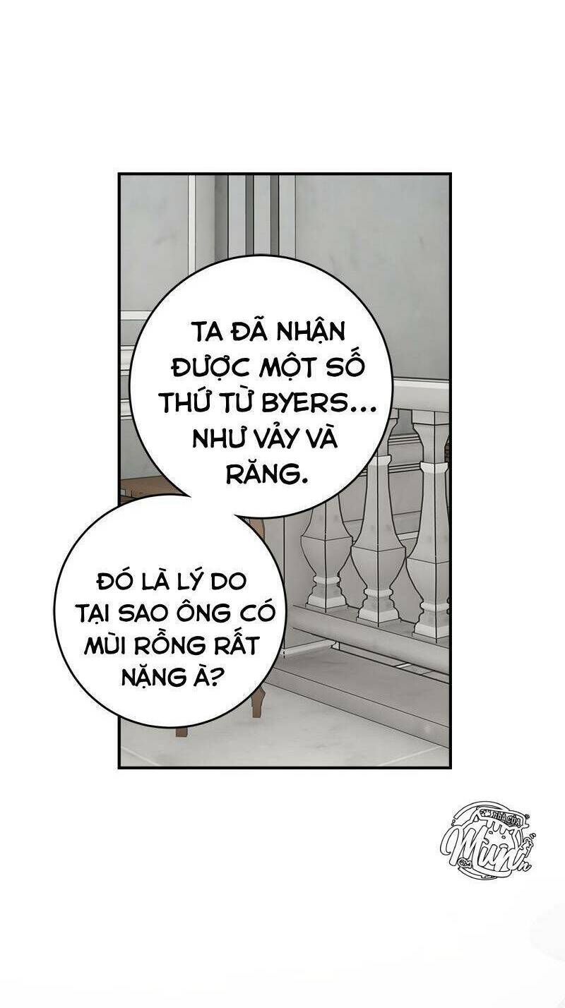 page_24.jpg