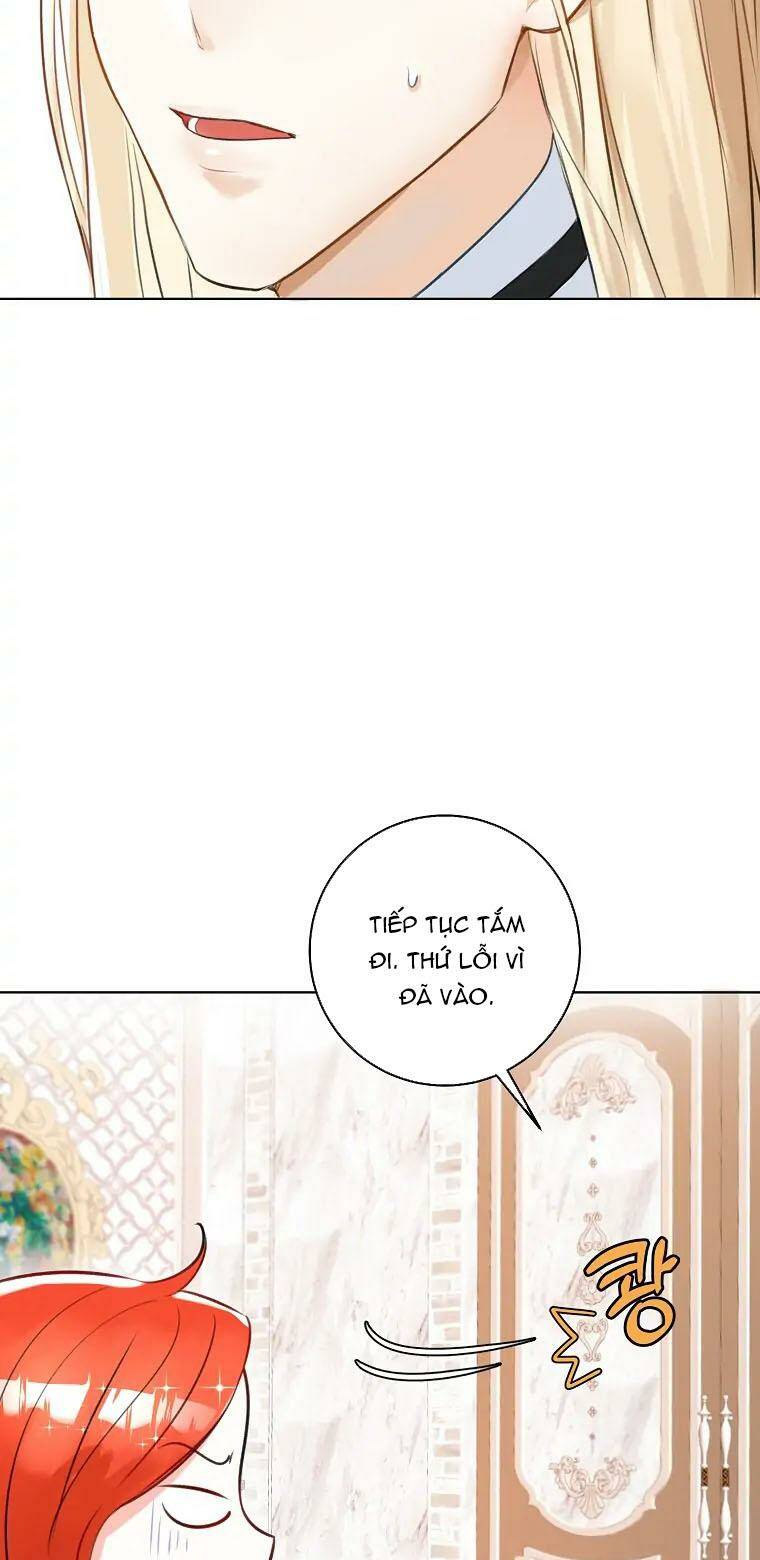 page_21.jpg