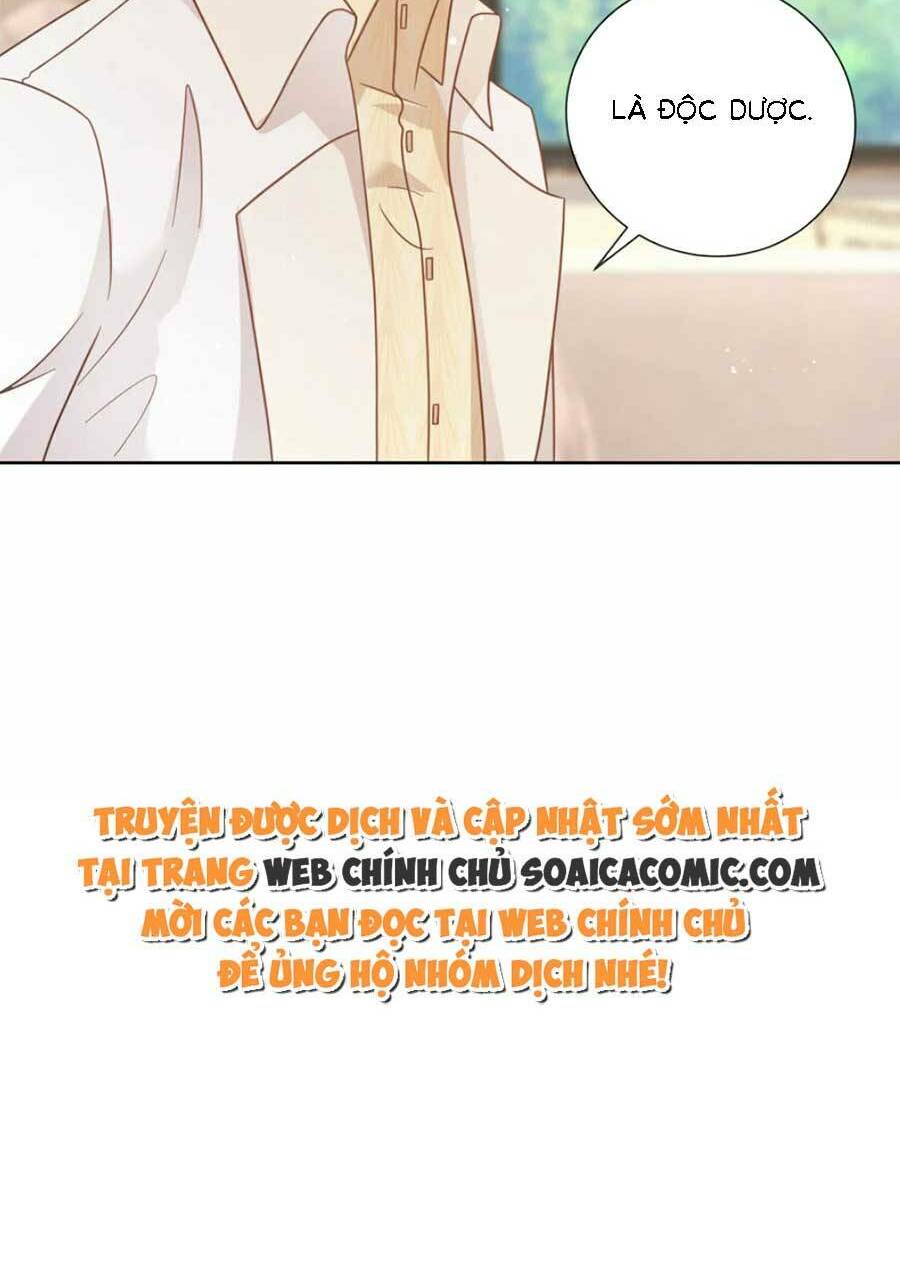 page_30.jpg