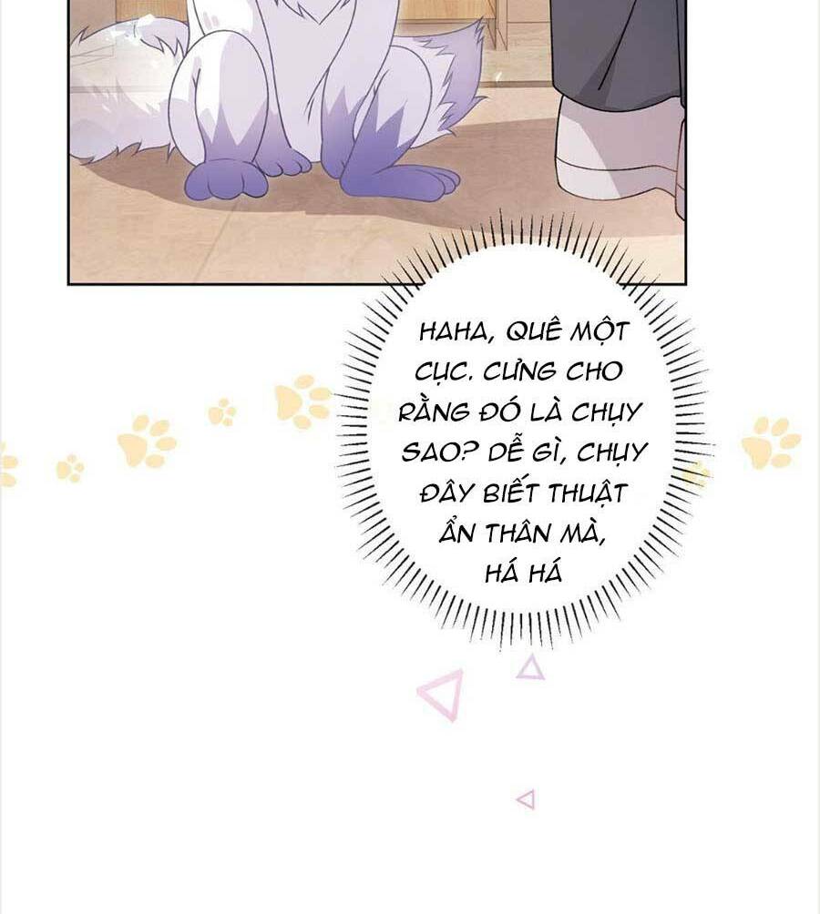 page_15.jpg