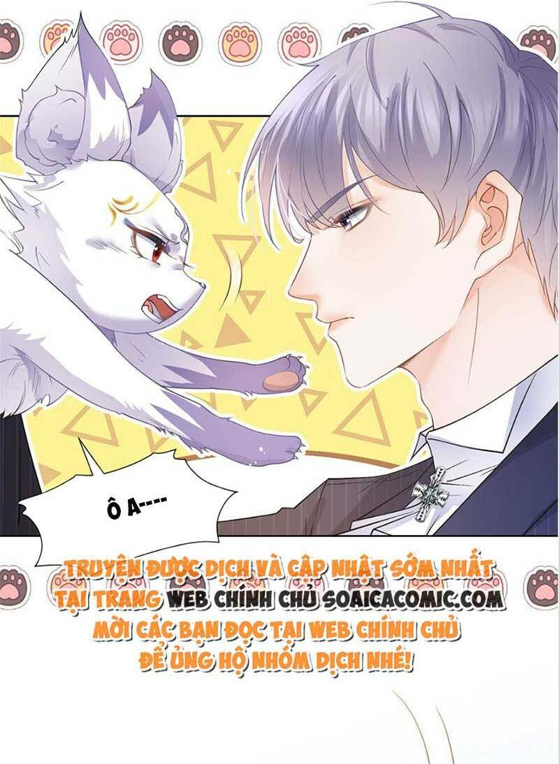 page_20.jpg