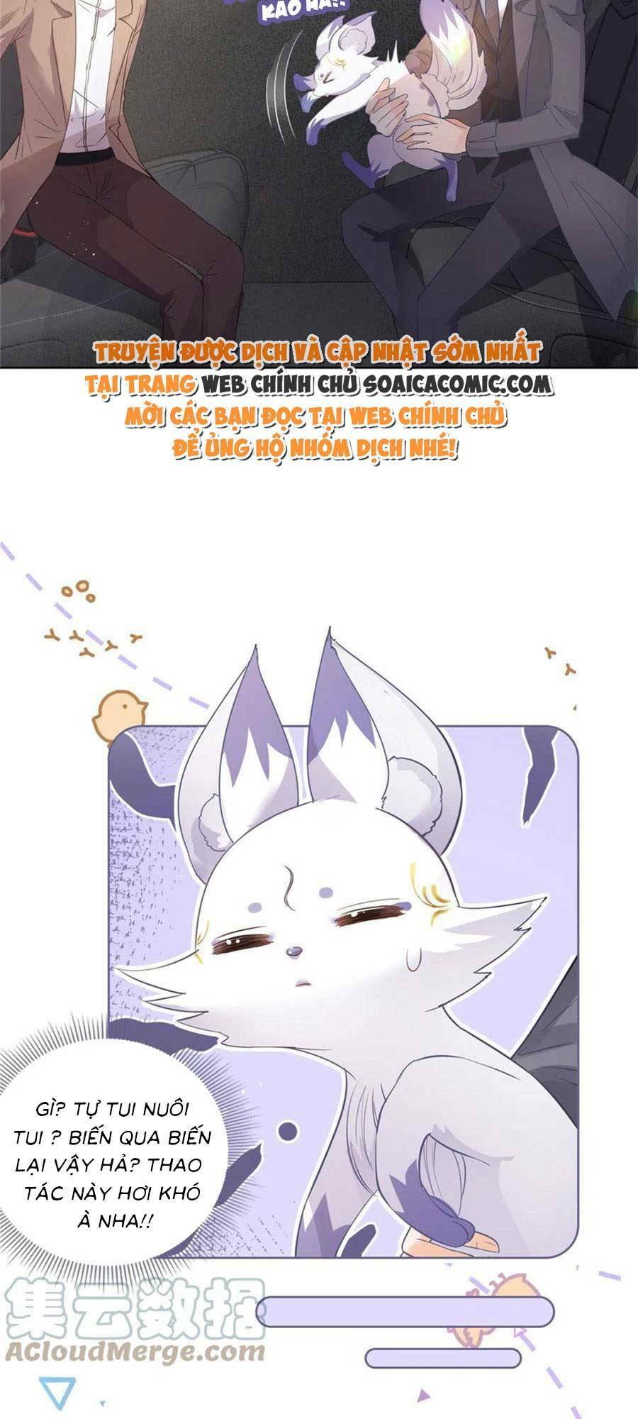 page_15.jpg