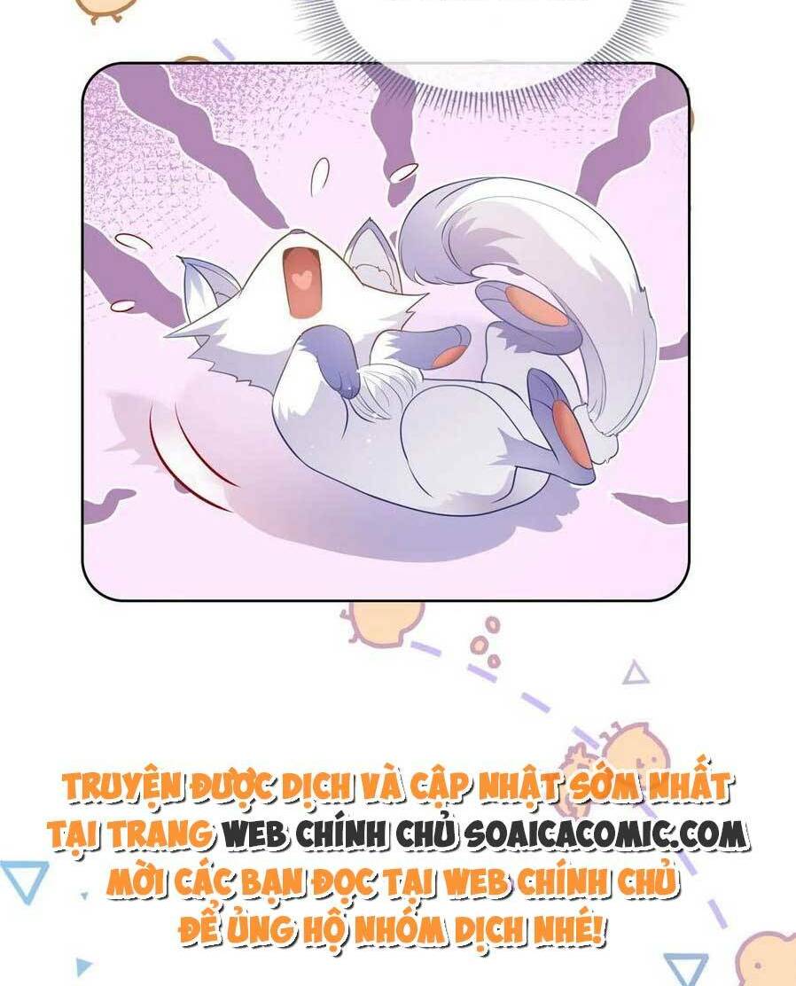 page_11.jpg