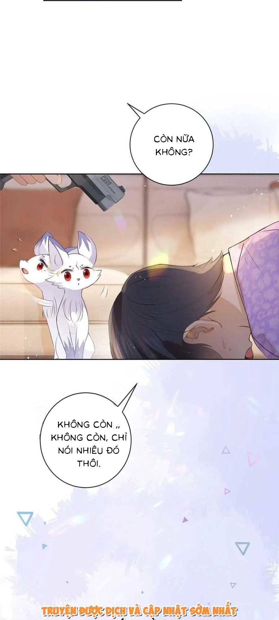page_20.jpg