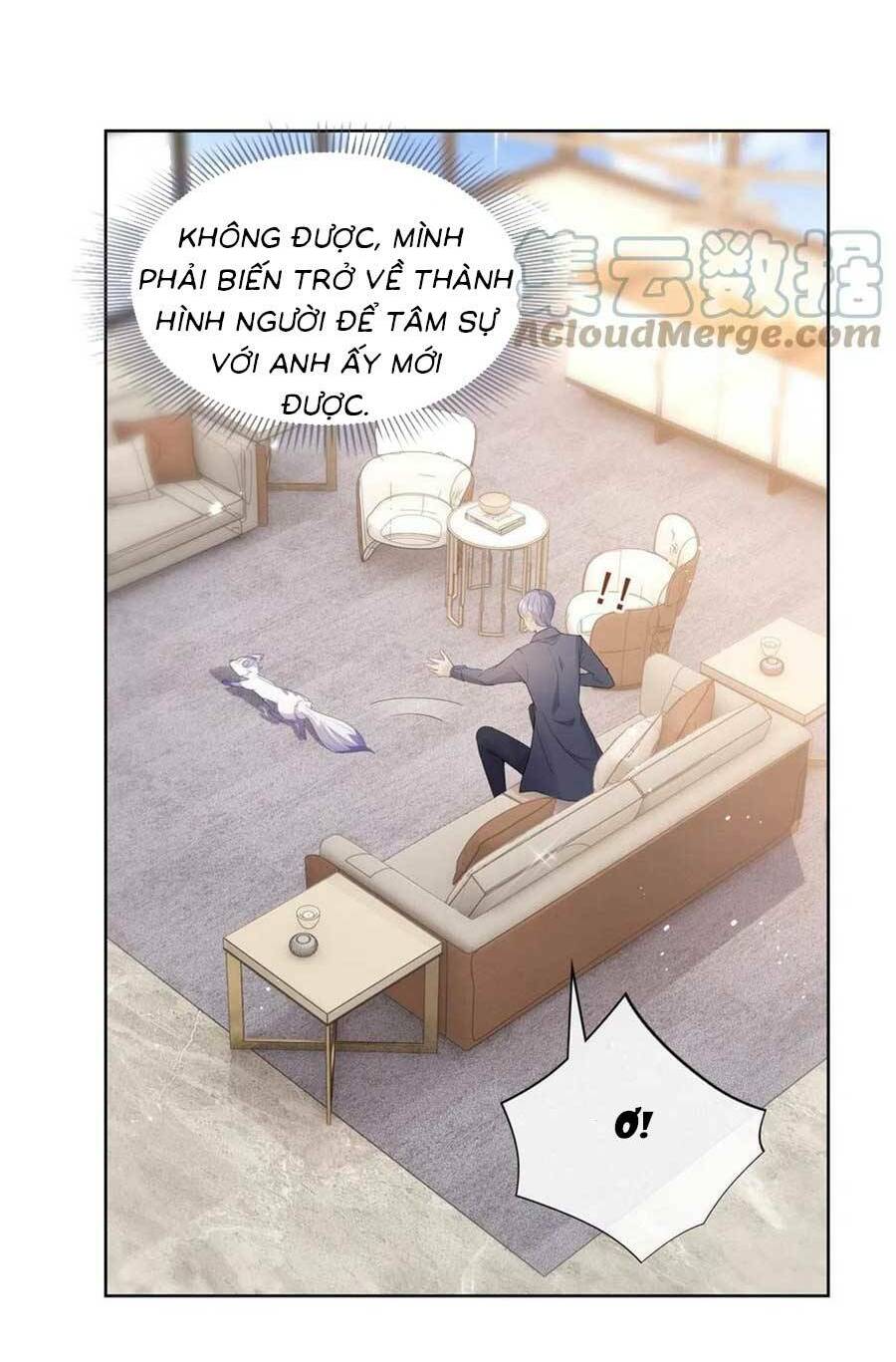 page_5.jpg