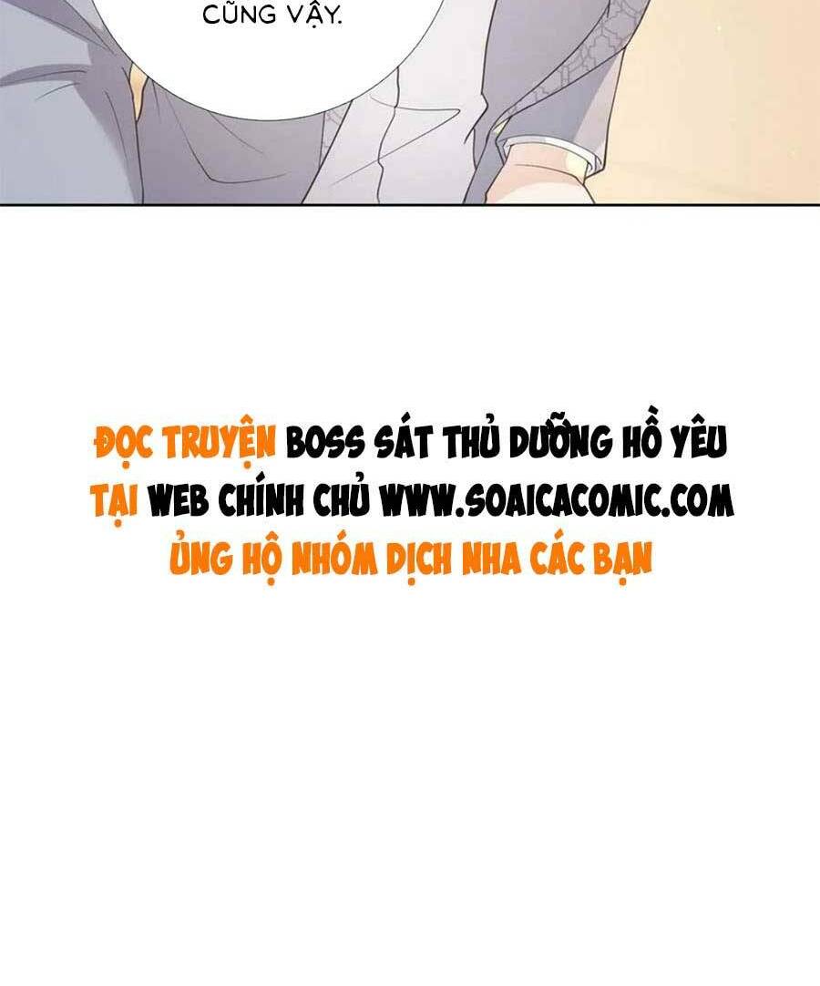 page_29.jpg