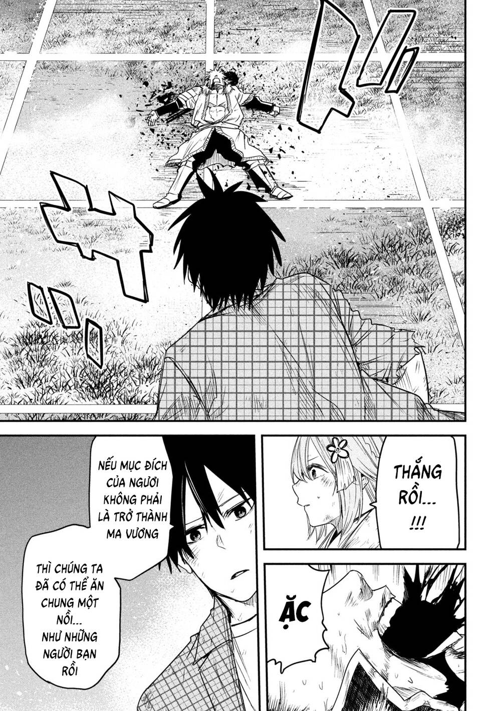 page_19.jpg