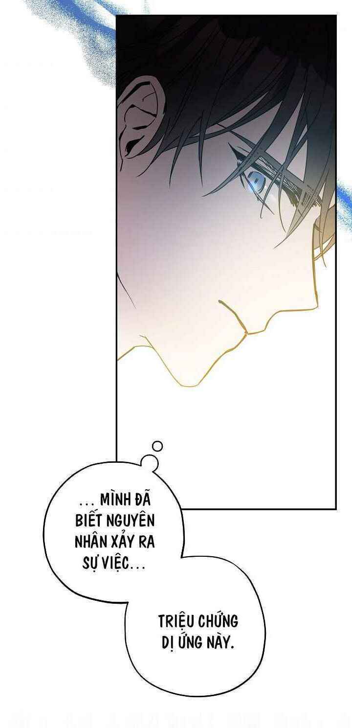 page_38.jpg