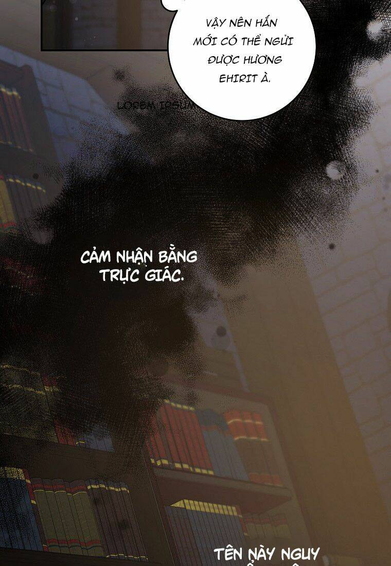 page_35.jpg