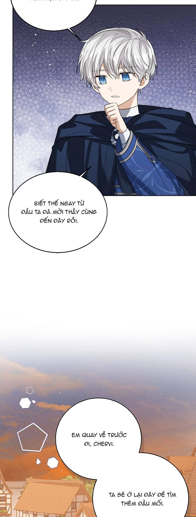 page_29.jpg