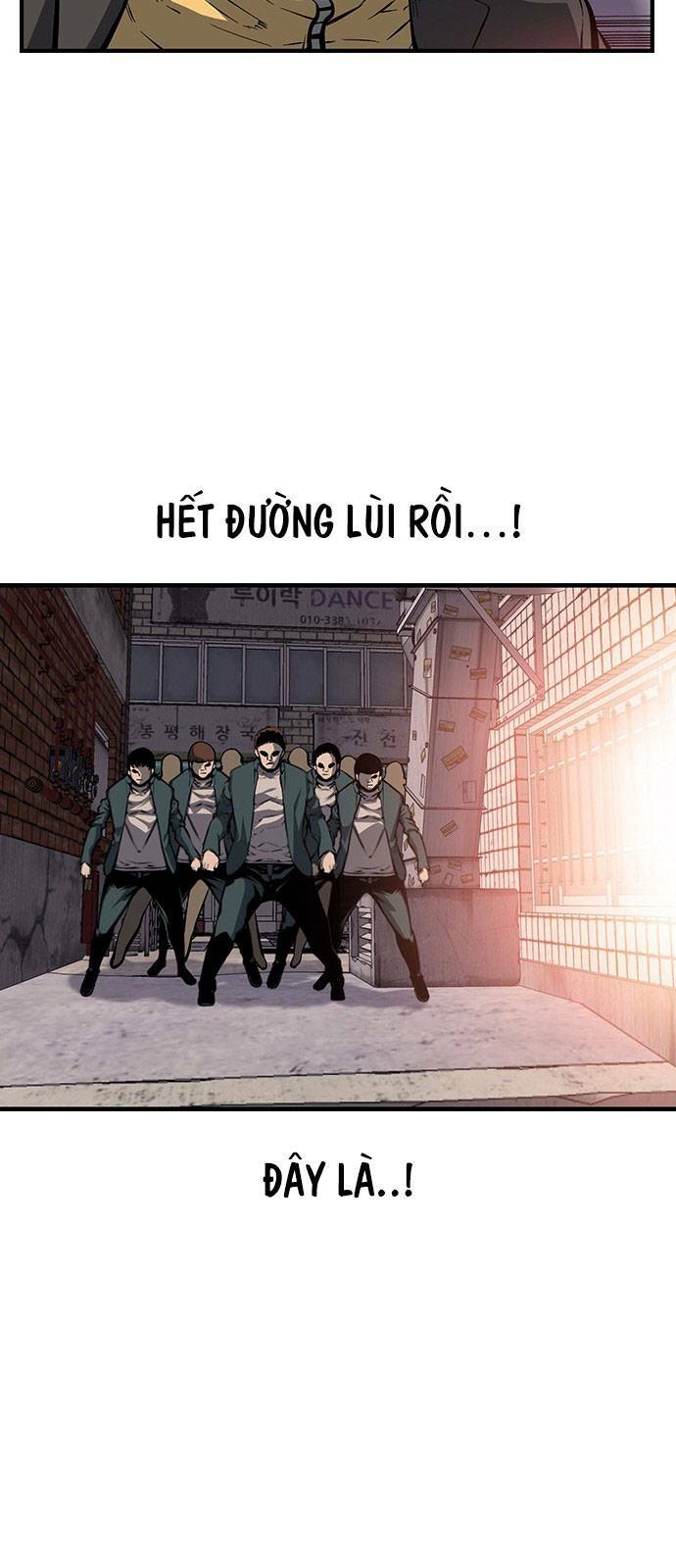page_20.jpg