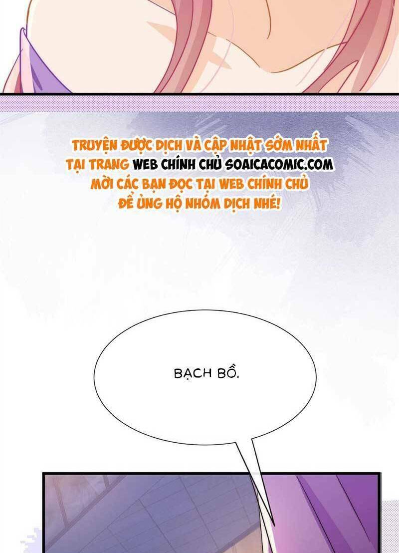 page_29.jpg
