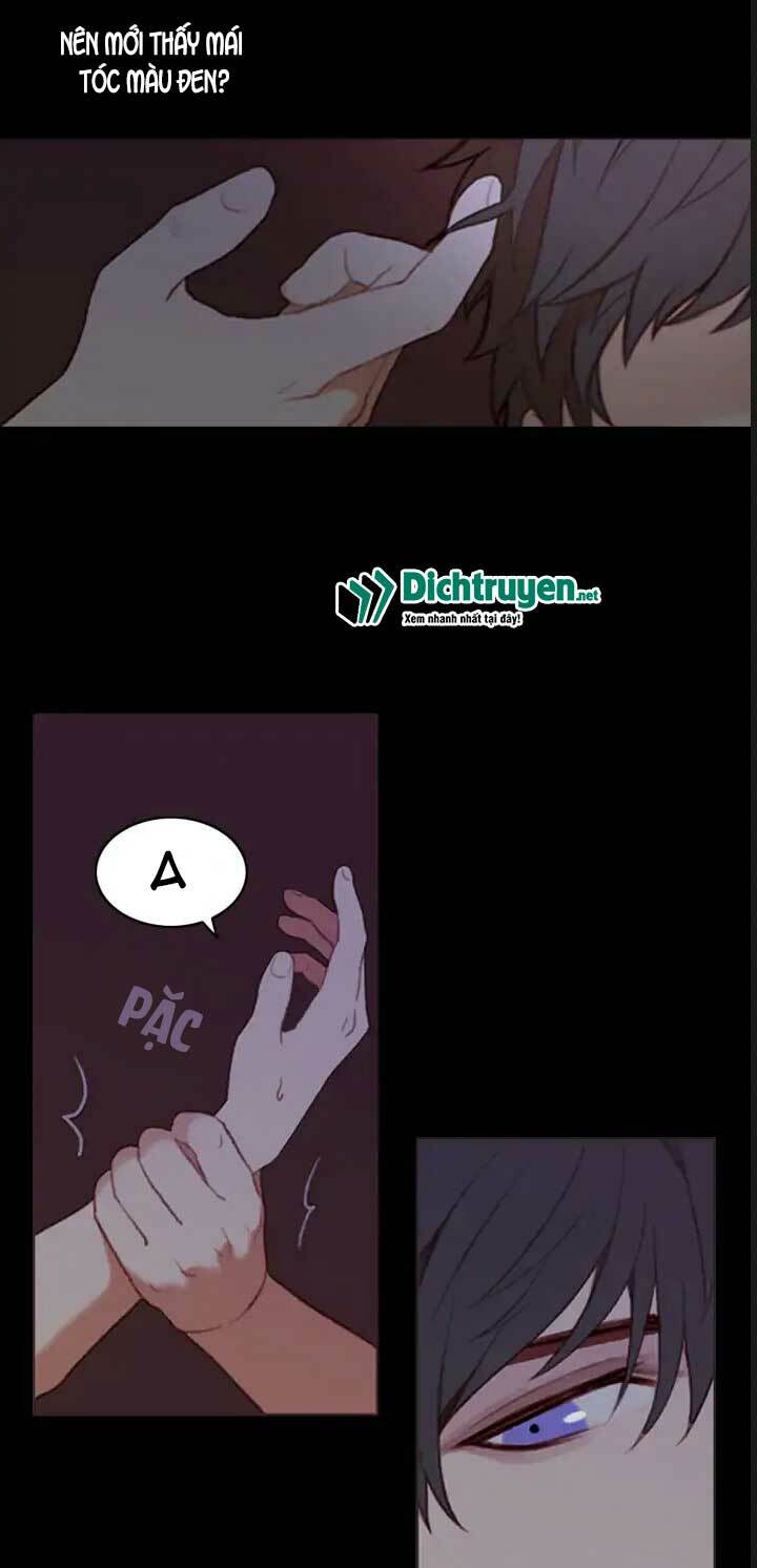 page_27.jpg