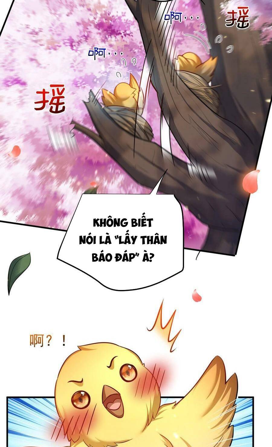 page_50.jpg