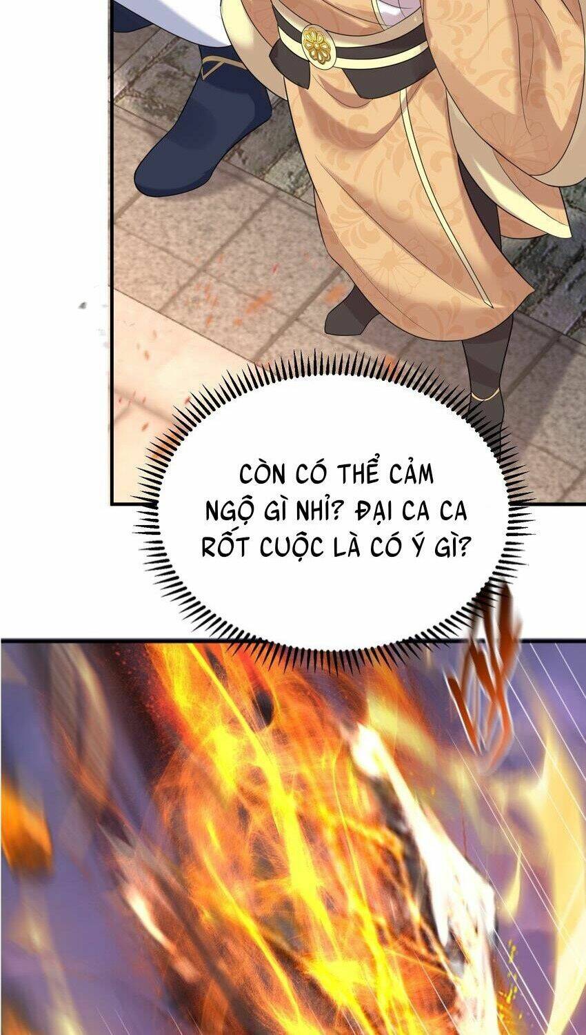 page_21.jpg