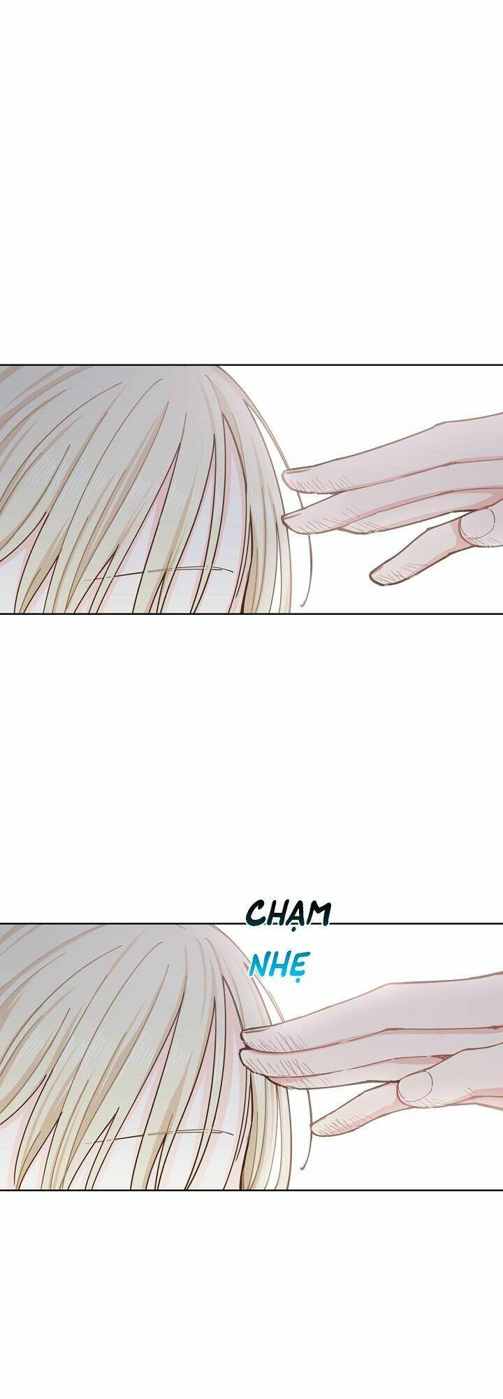 page_16.jpg