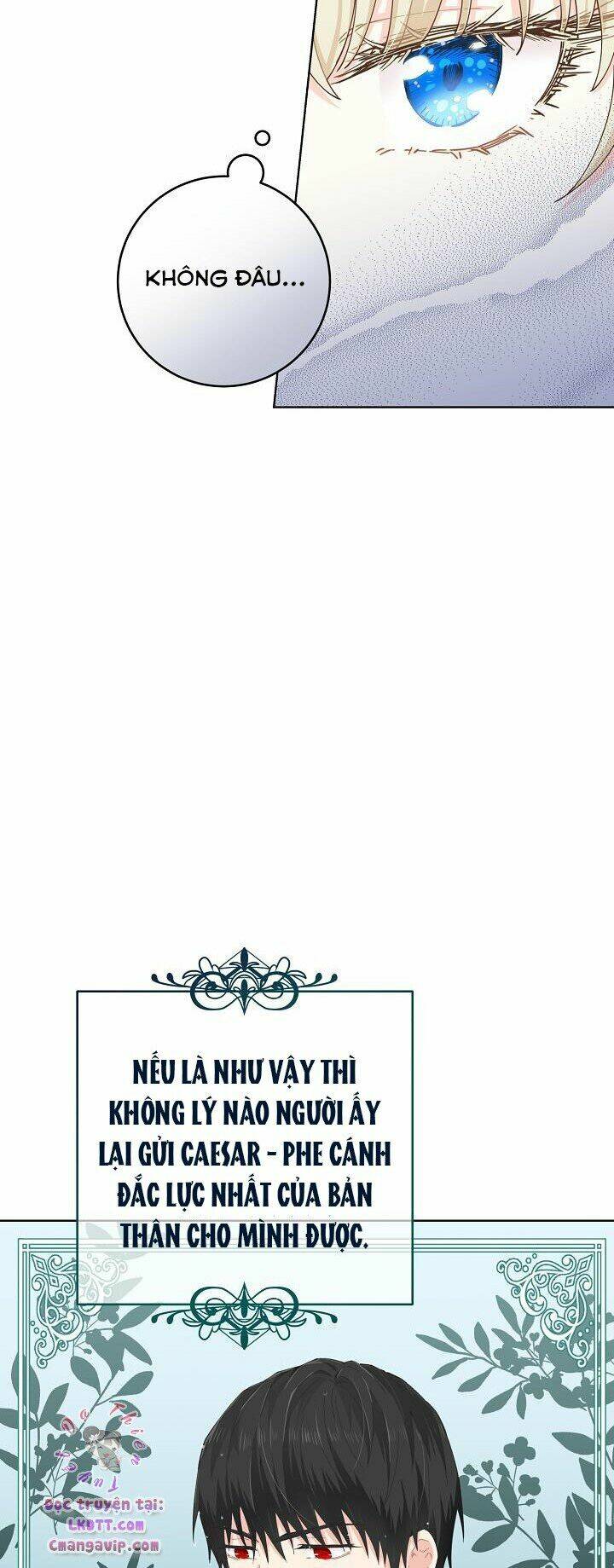 page_29.jpg