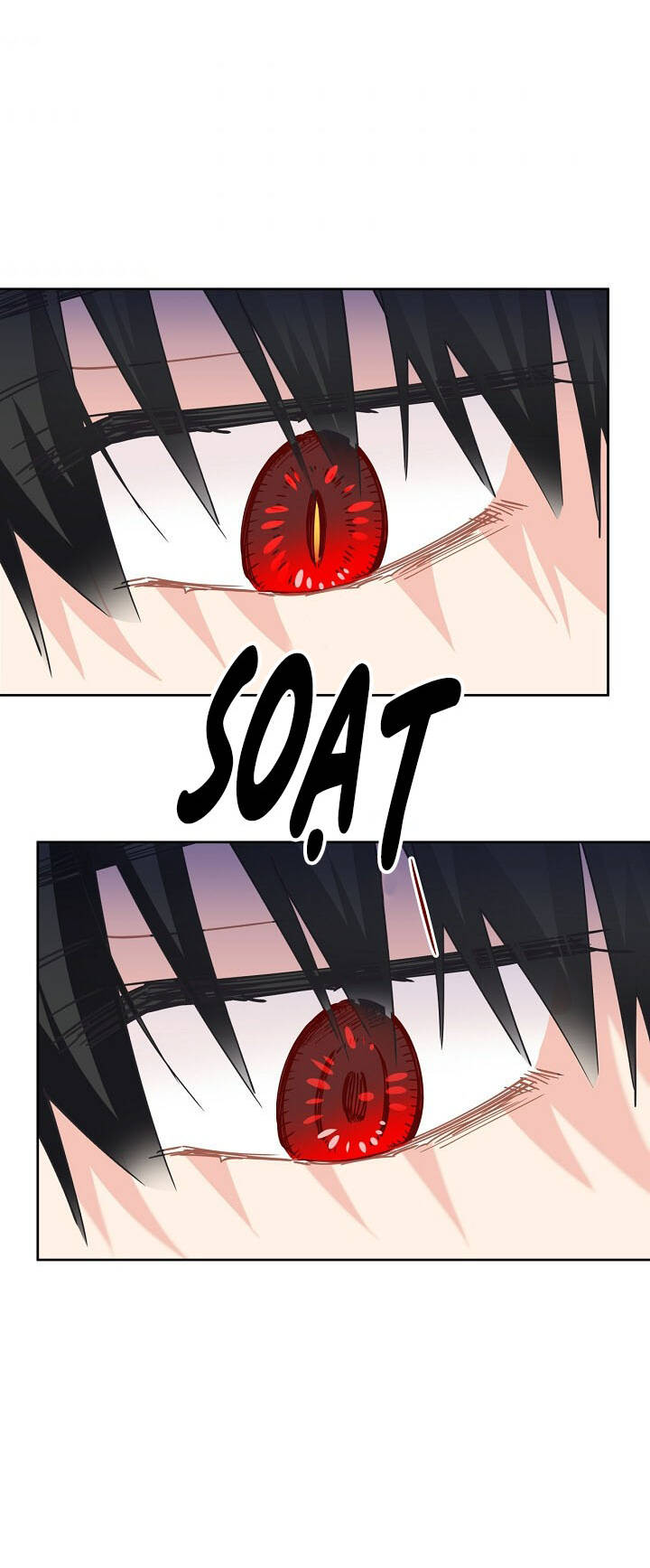 page_24.jpg