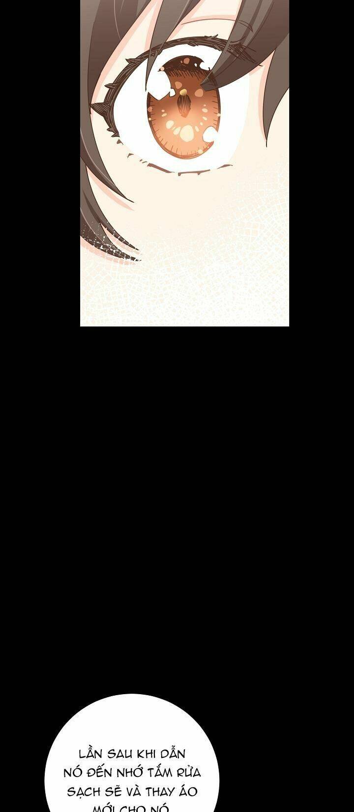 page_20.jpg