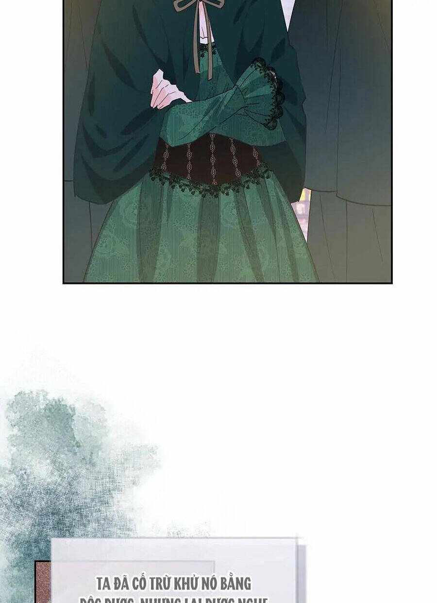 page_25.jpg