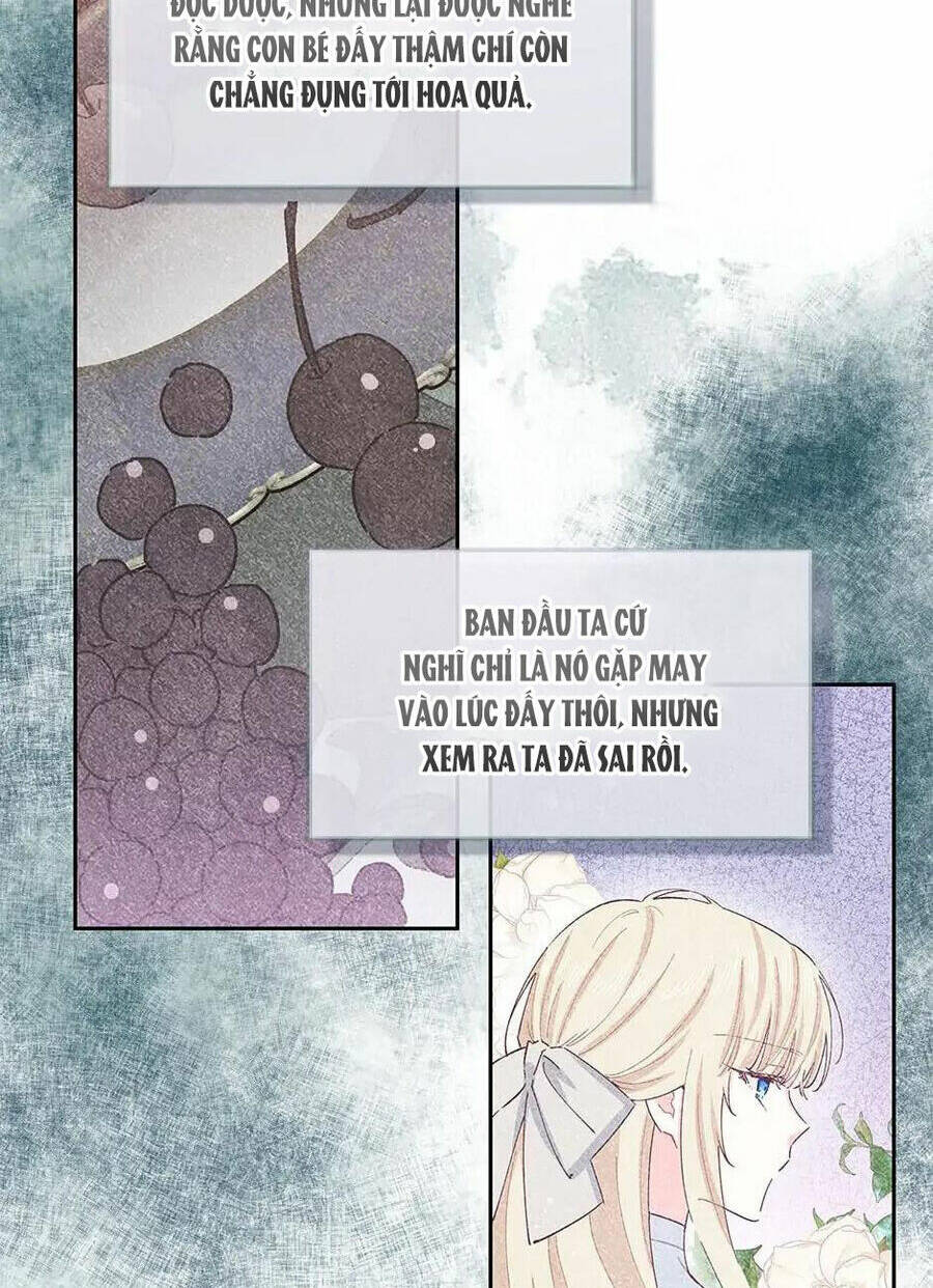 page_26.jpg