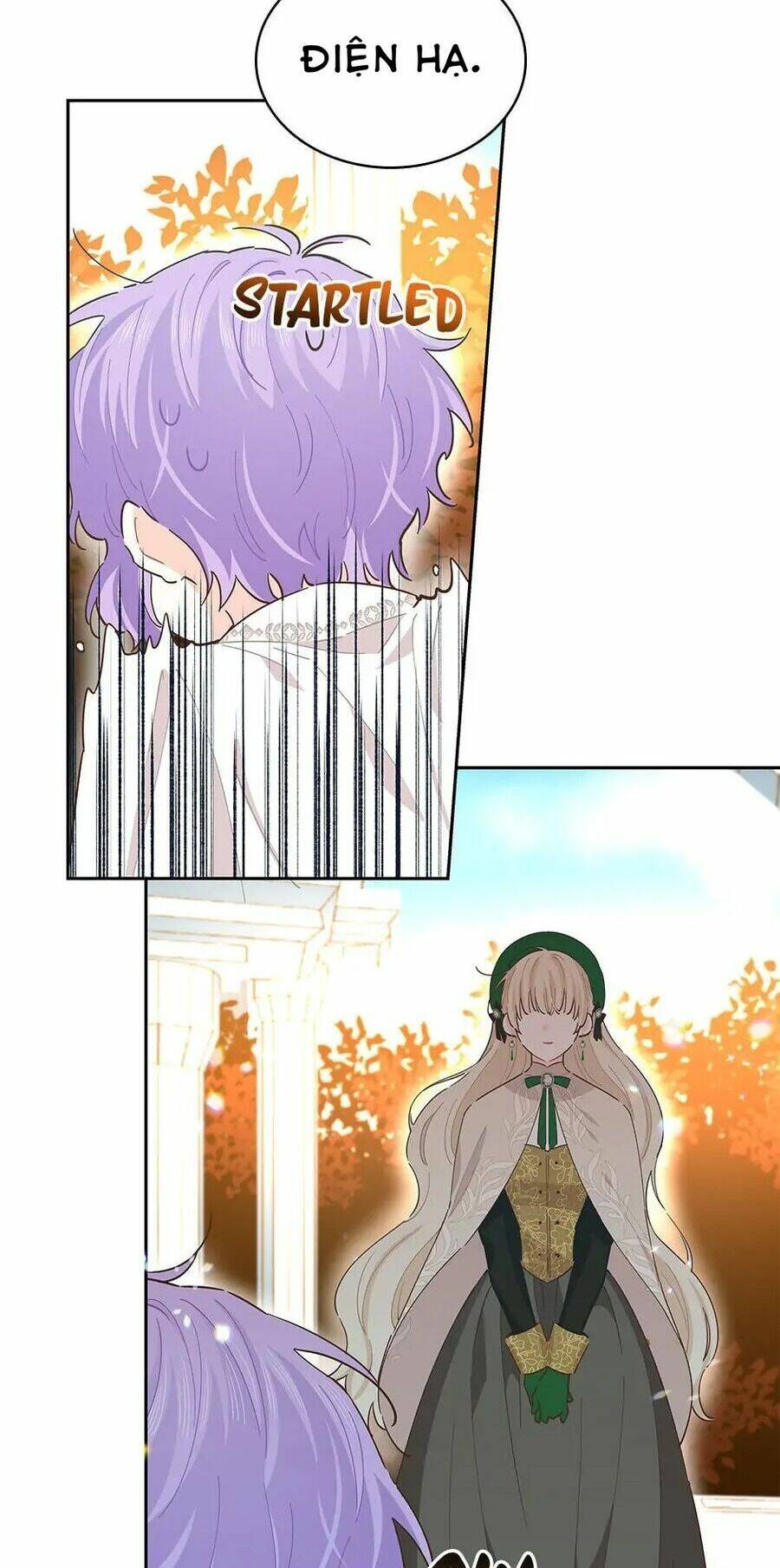 page_20.jpg