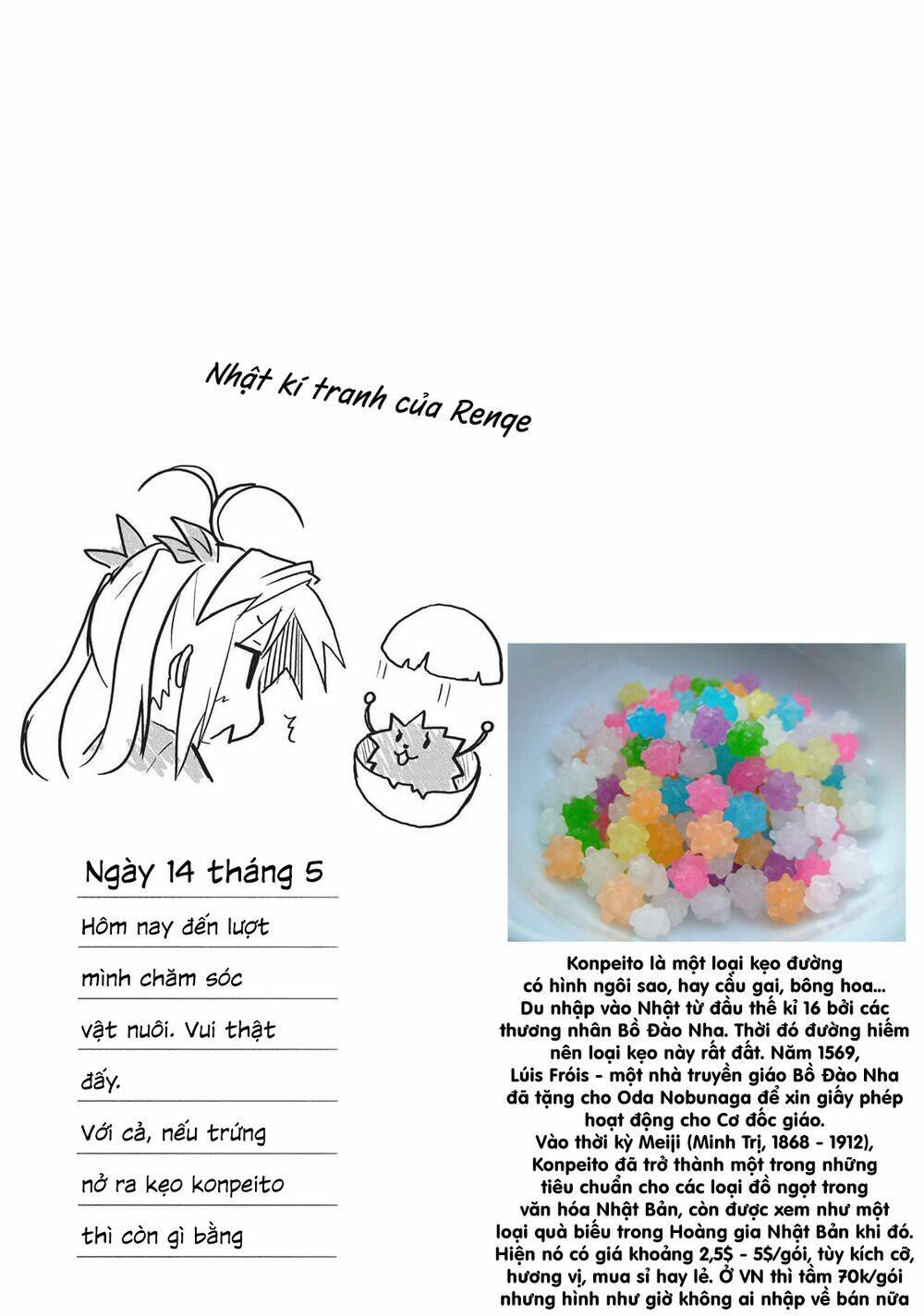 page_19.jpg