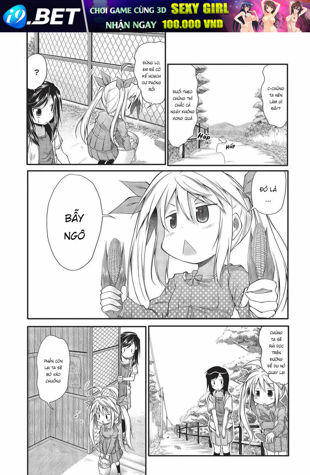 page_8.jpg