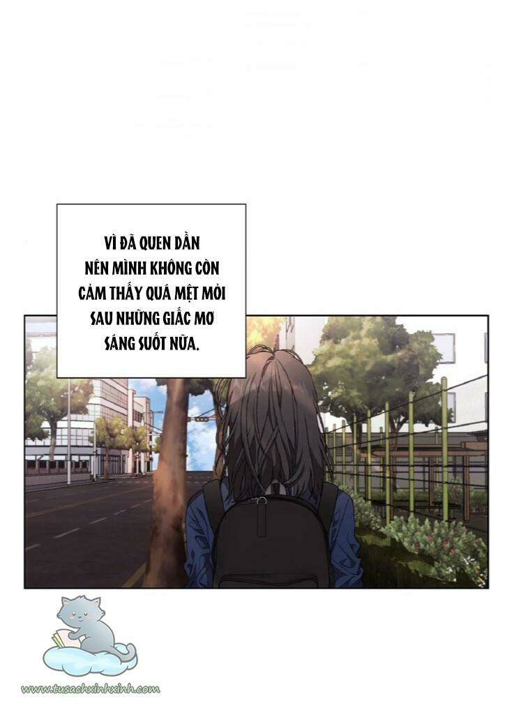 page_21.jpg