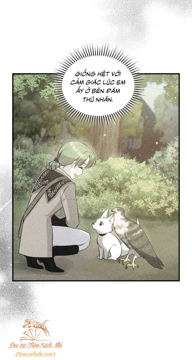 page_31.jpg