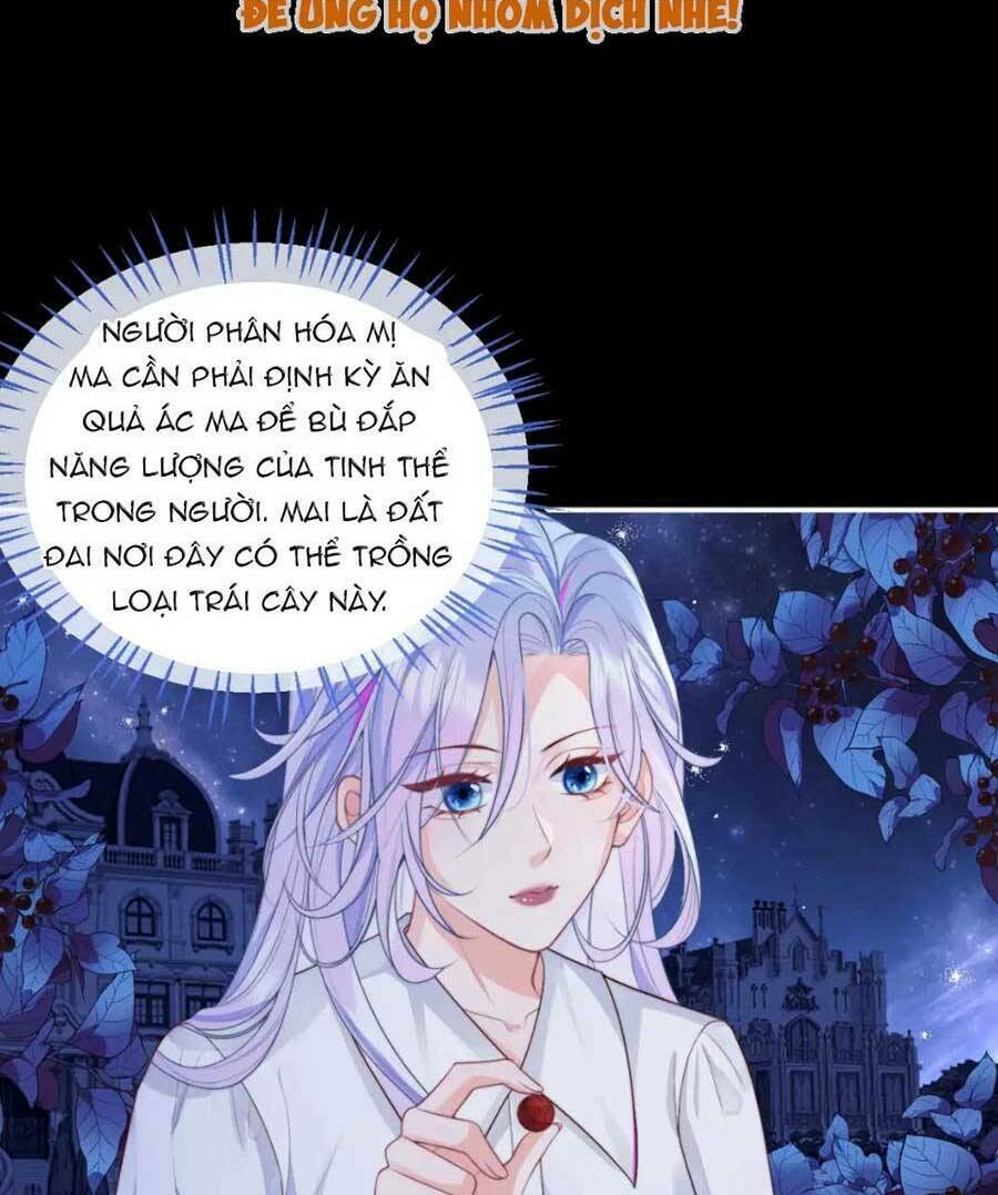 page_38.jpg