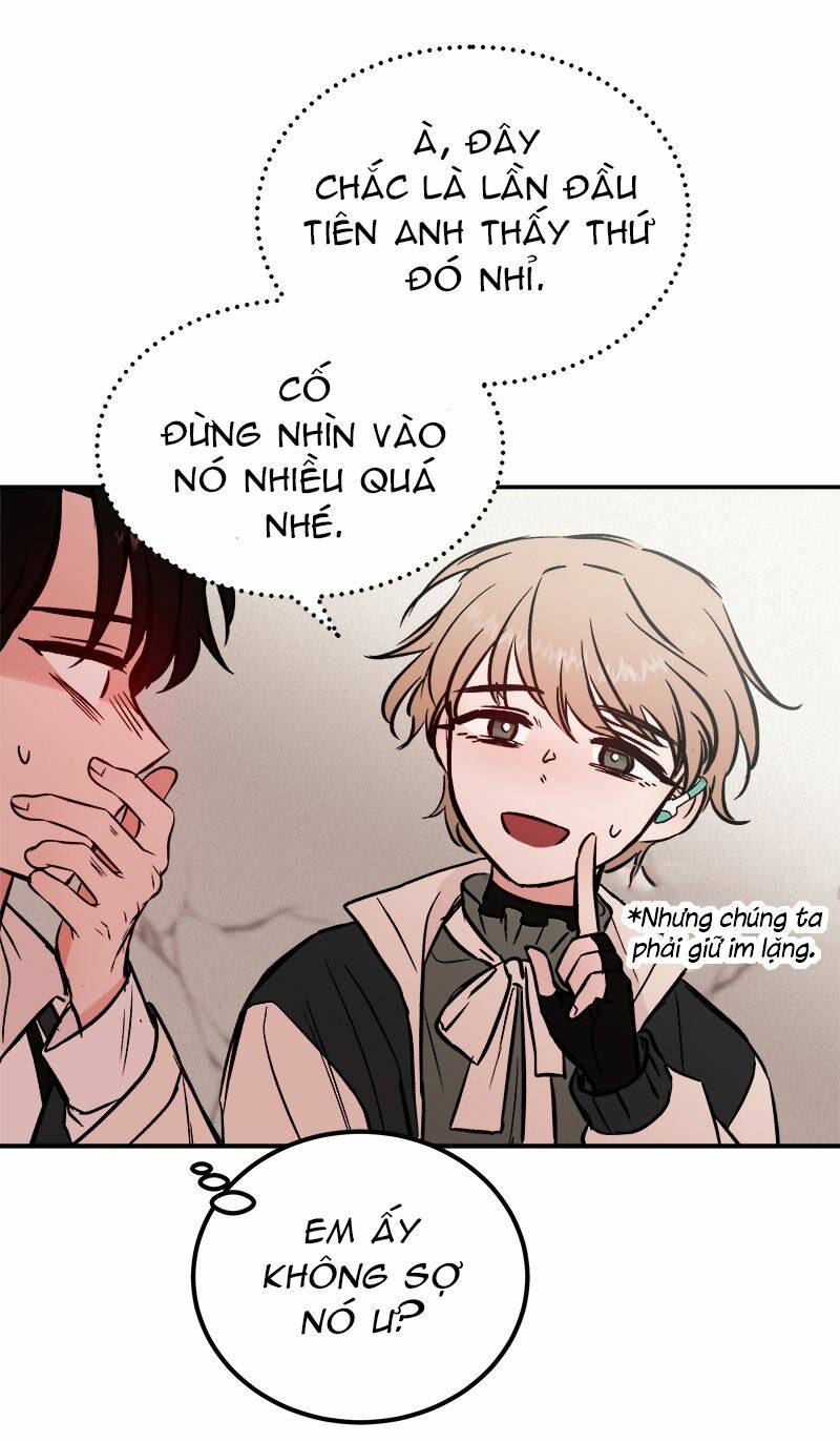 page_41.jpg