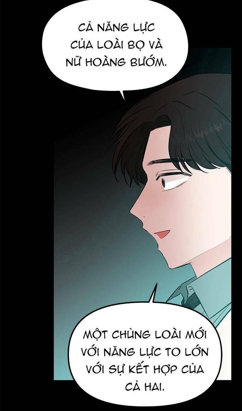 page_101.jpg