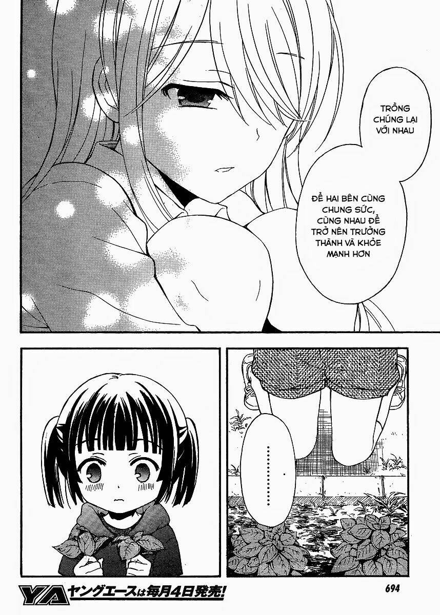 page_23.jpg