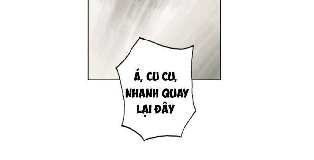 page_40.jpg