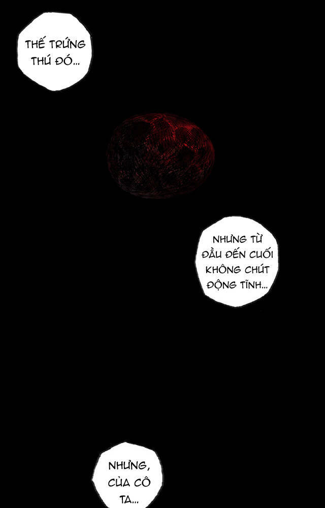 page_29.jpg