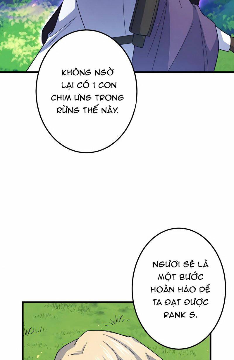 page_29.jpg