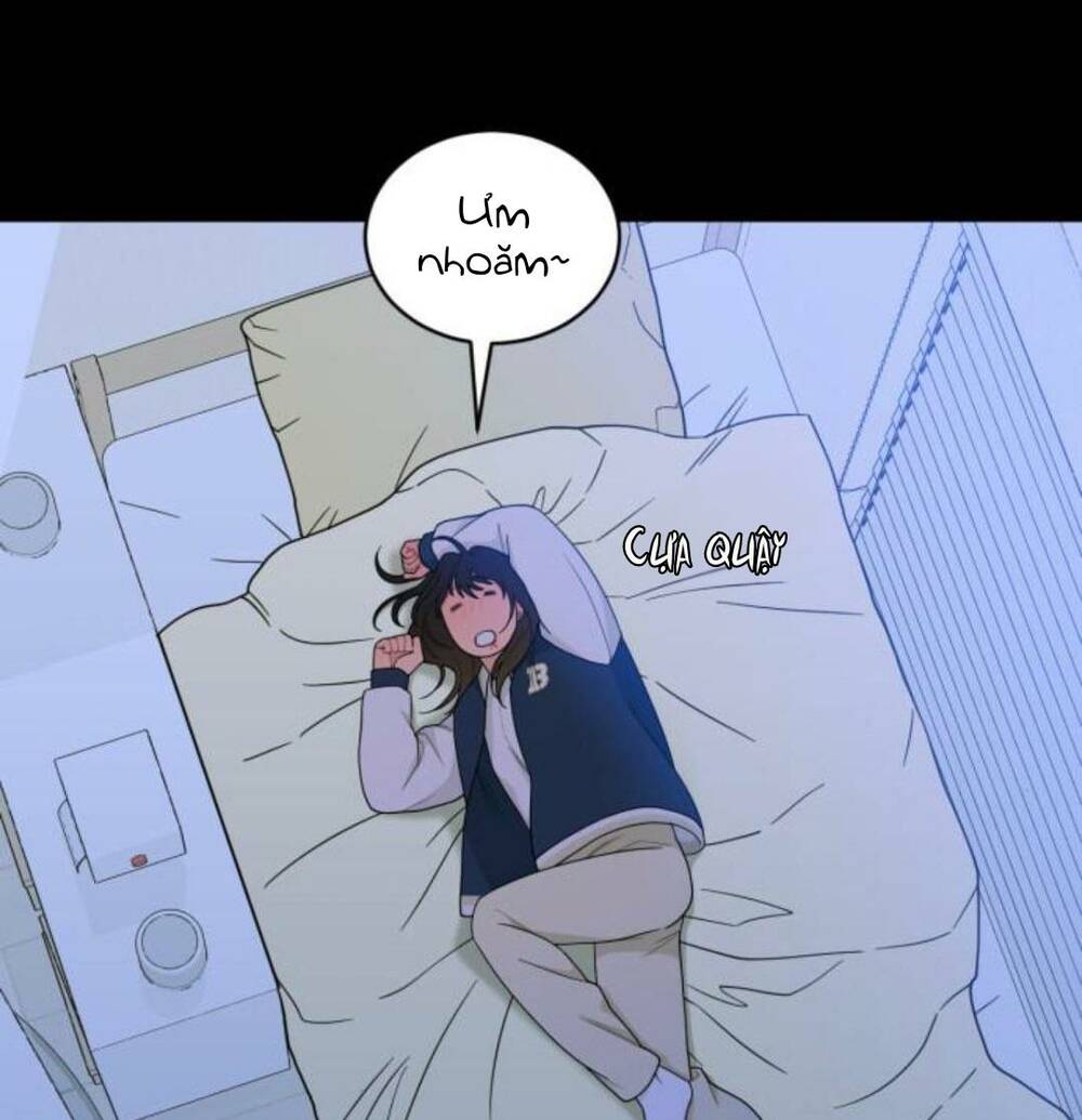 page_21.jpg