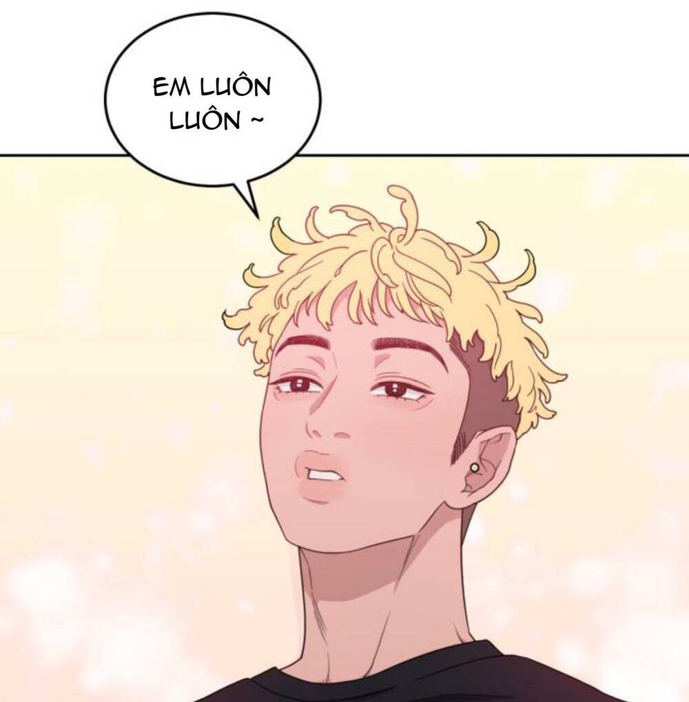 page_29.jpg